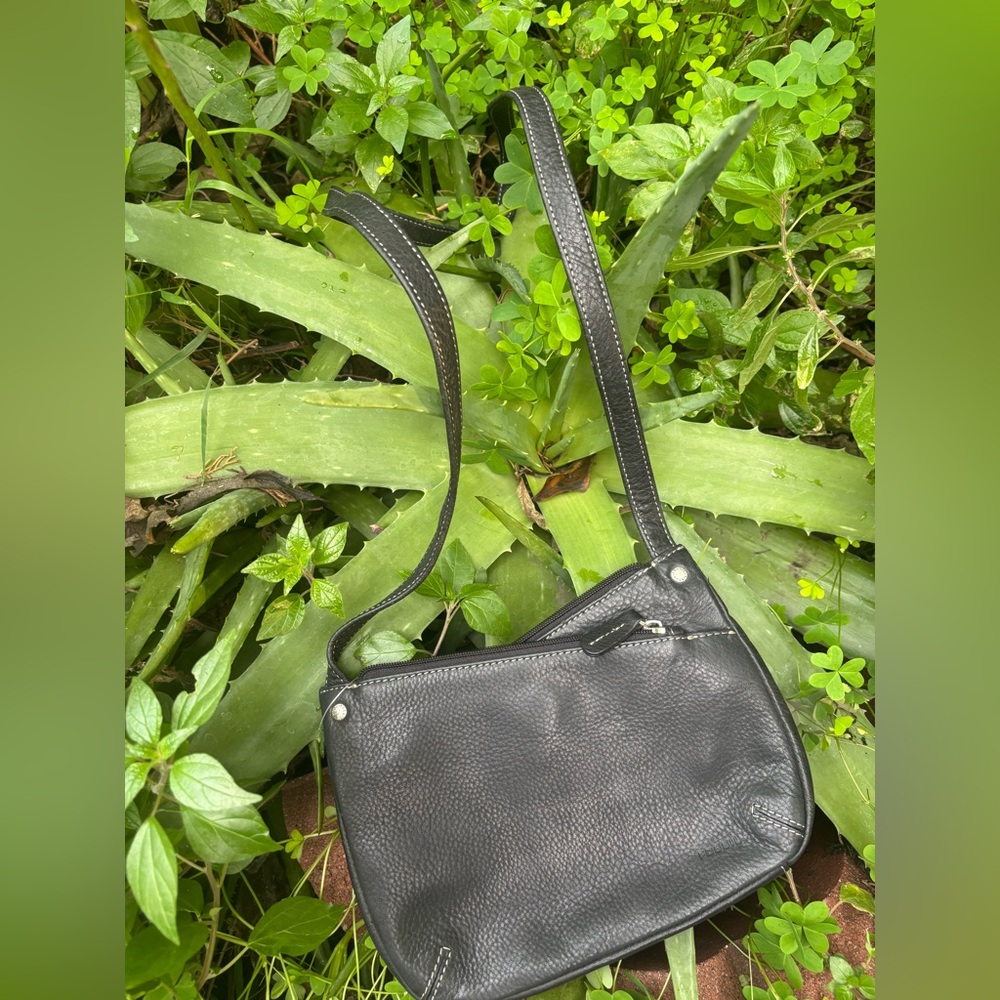 fossil crossbody new wirh tags